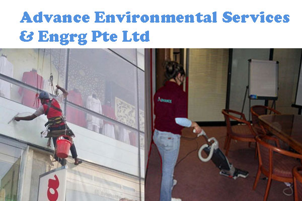 Advance environmental services & engrg pte ltd