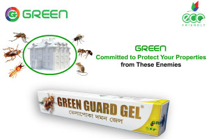 Green Pest Control Services – Pest Control Products and Services