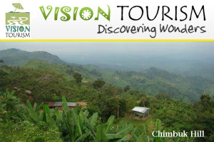 Vision Tourism Ltd.
