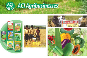 ACI Agribusinesses - ACI Seed