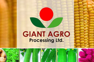 Giant Agro Processing Limited