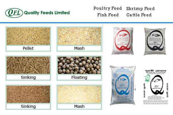 Quality Feeds Limited - poultry, fish, shrimp and cattle feed