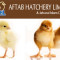 Aftab Hatchery Ltd