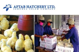 Aftab-Hatchery-Ltd-Banglade