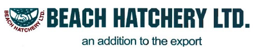 Beach Hatchery Ltd