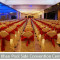 Sonargaon-Resort-hall-2