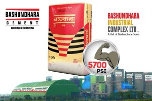 Bashundhara Cement Industries Ltd