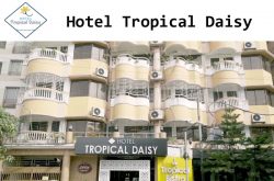Hotel Tropical Daisy Gulshan 2