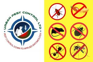 Urban Pest Control Pvt Ltd
